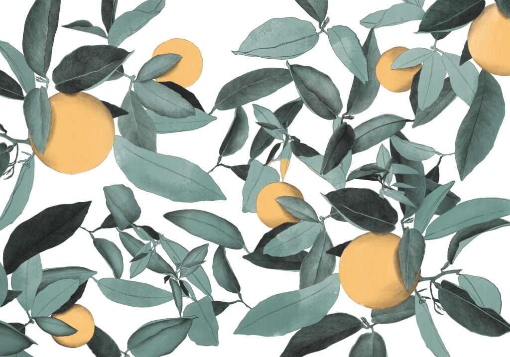 Studio PI_Lucy Schmidt_Californian Oranges (1)